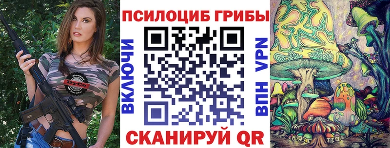 blacksprut онион  Кингисепп  Псилоцибиновые грибы ЛСД 